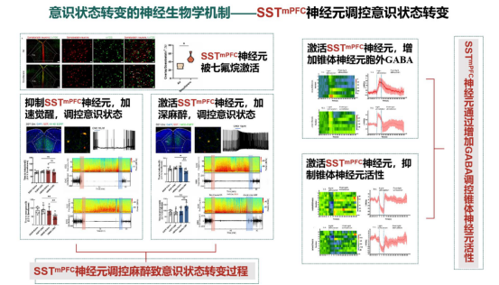 说明: E:\桌面\9C78CF0FEAD2FF93C8BB8C7C6F9_F5F0F38E_AB06A.png 说明: E:\桌面\9C78CF0FEAD2FF93C8BB8C7C6F9_F5F0F38E_AB06A.png